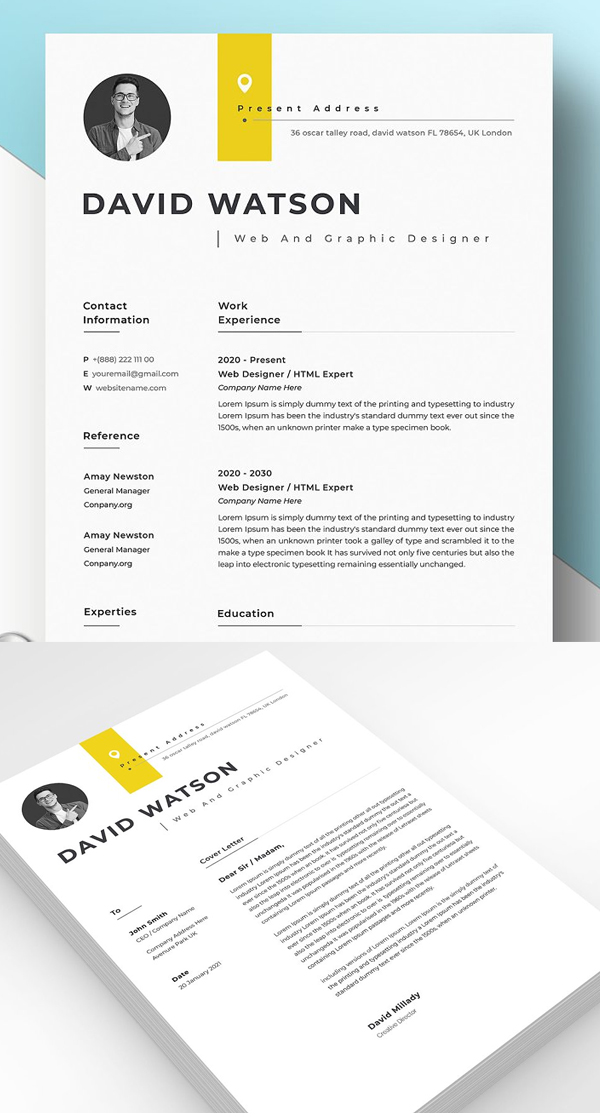 Professional Resume Template