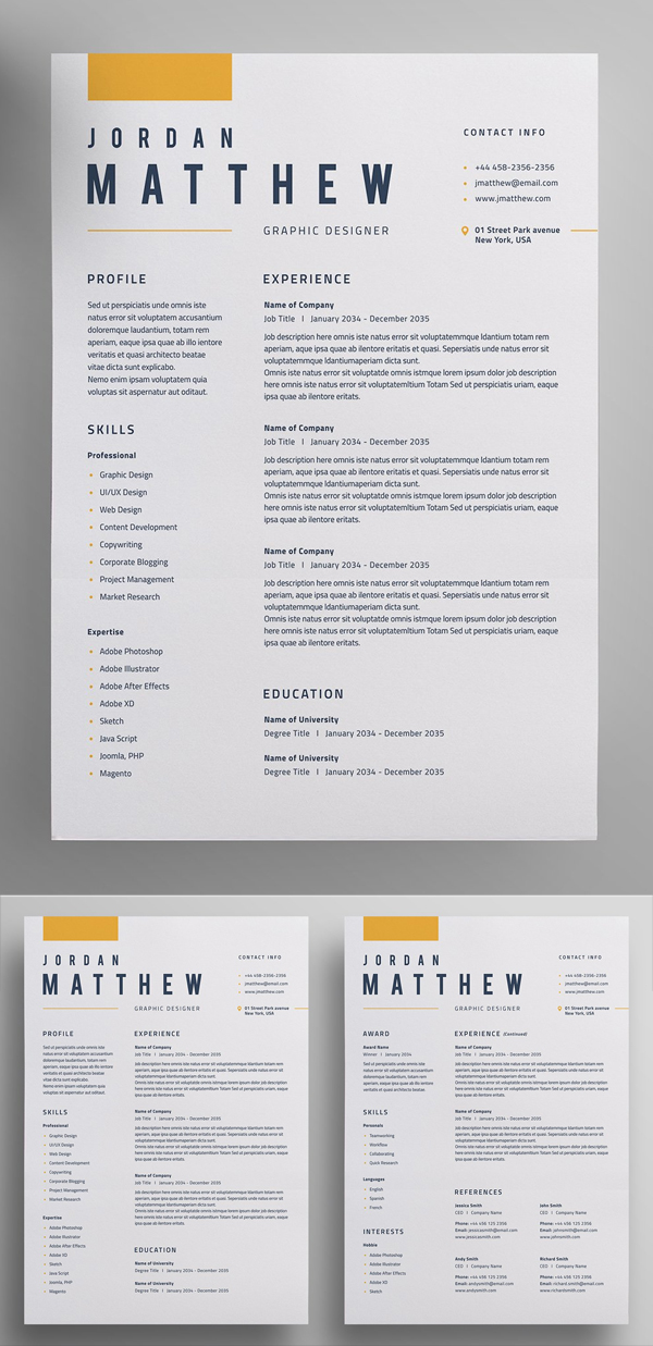 Perfect Resume / CV Template