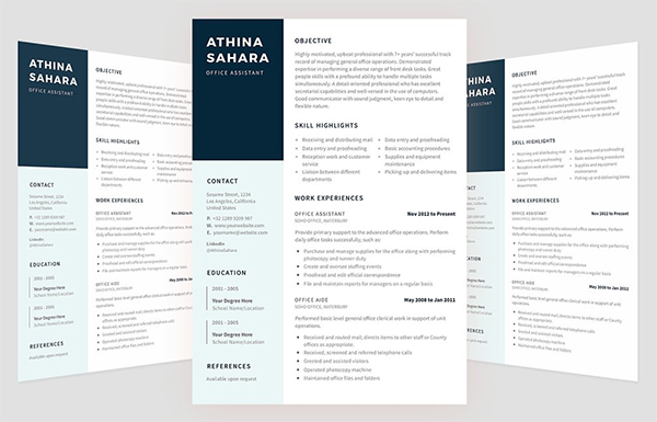 Professional Resume Template