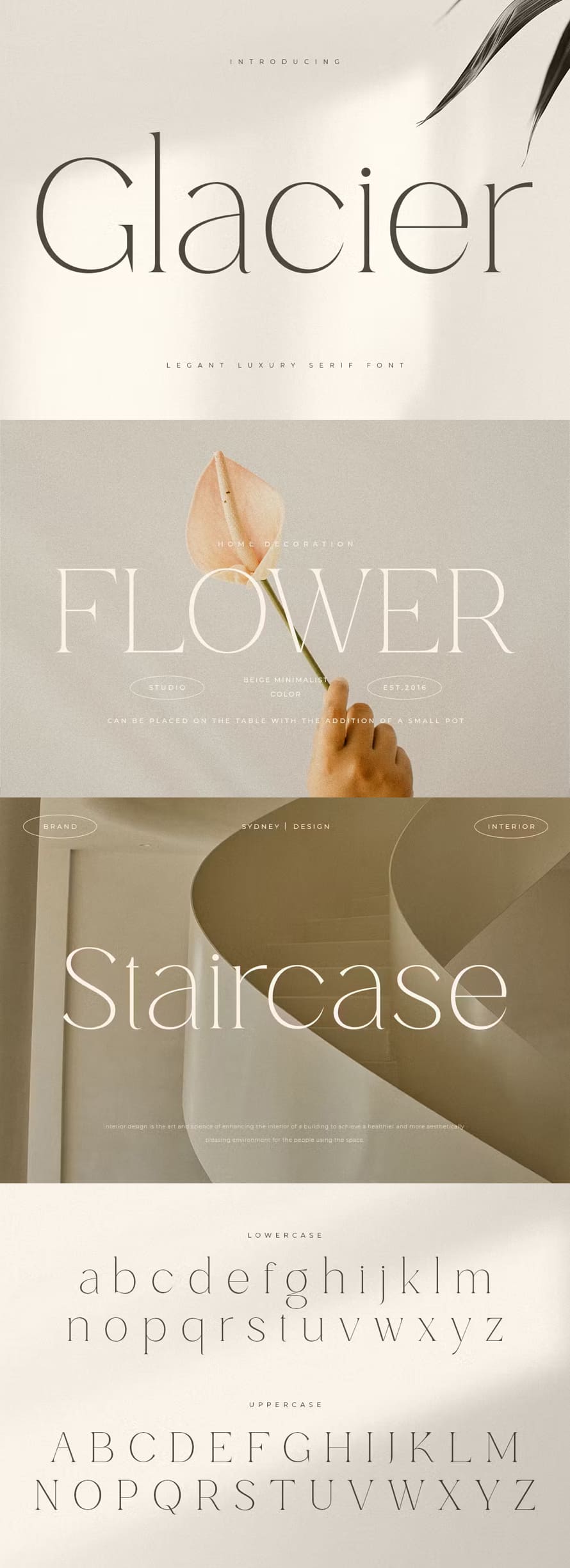 Elegant Luxury Serif Font