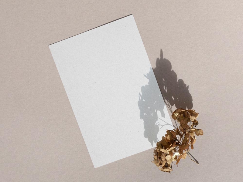 Free Lumea Stationery Mockup Free Lumea Stationery Mockup