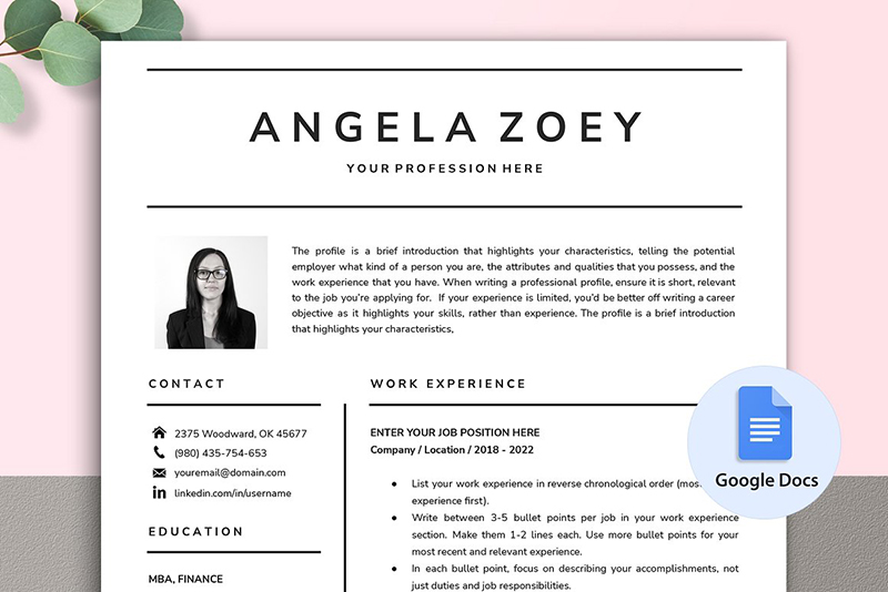 Professional Resume Template For Google Docs