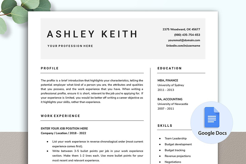 Google Docs Resume Cv Template