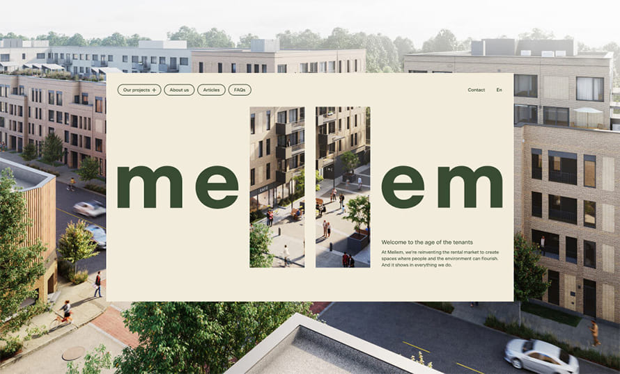 Mellem Website Design