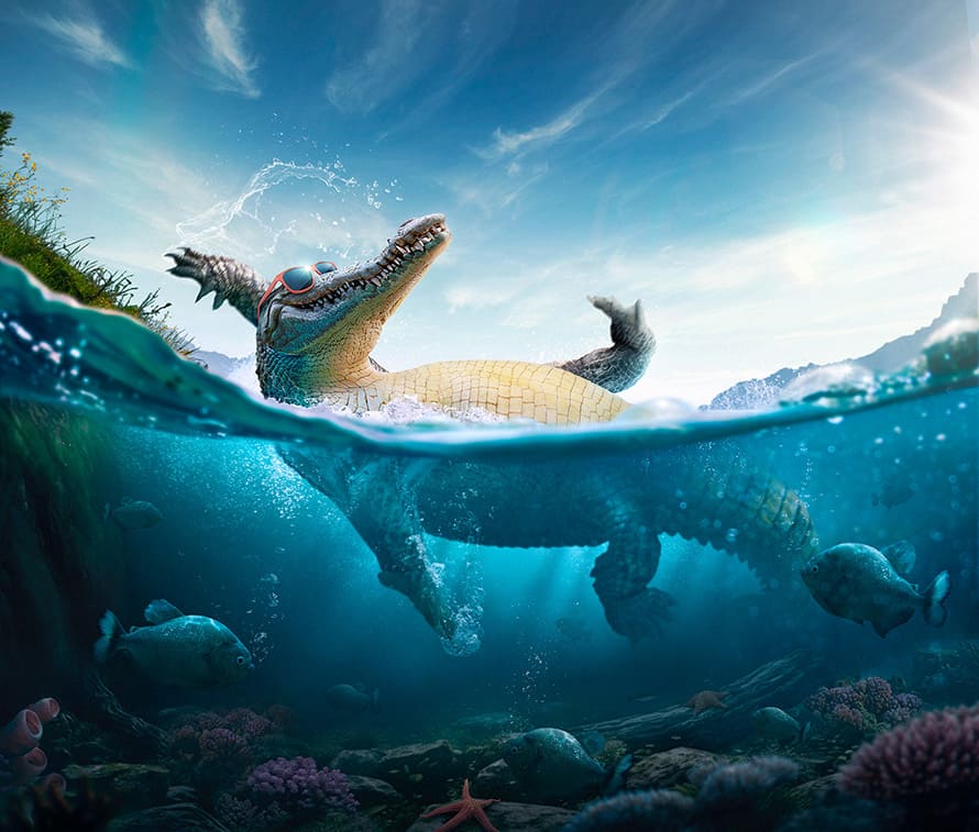 Saying: In a river where there is piranha fish, alligators do backstroke Manipulation by Jack Usephot
