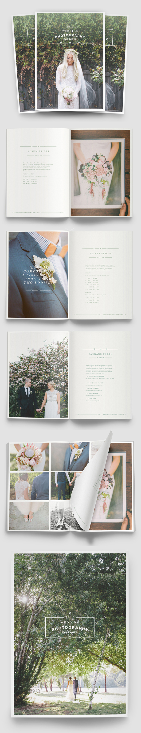 Multipurpose Photography Brochure Template