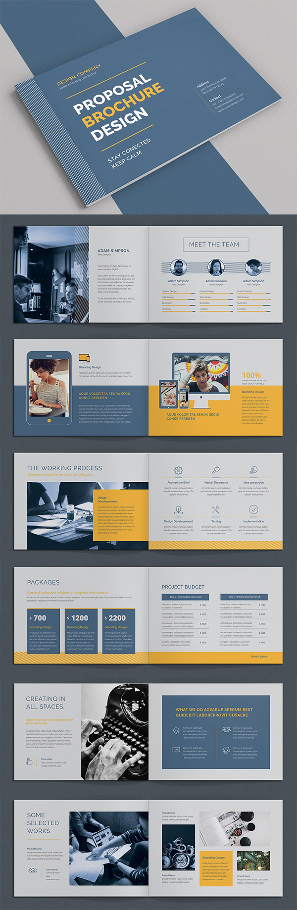 Proposal Brochure Template