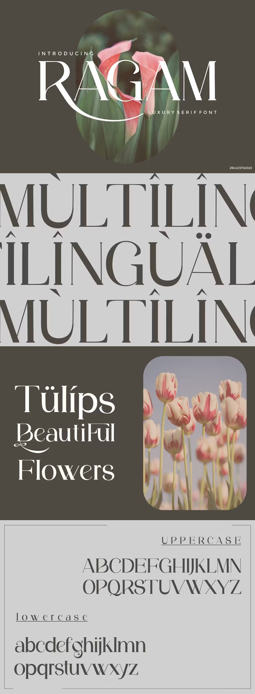 Ragam Luxury Font