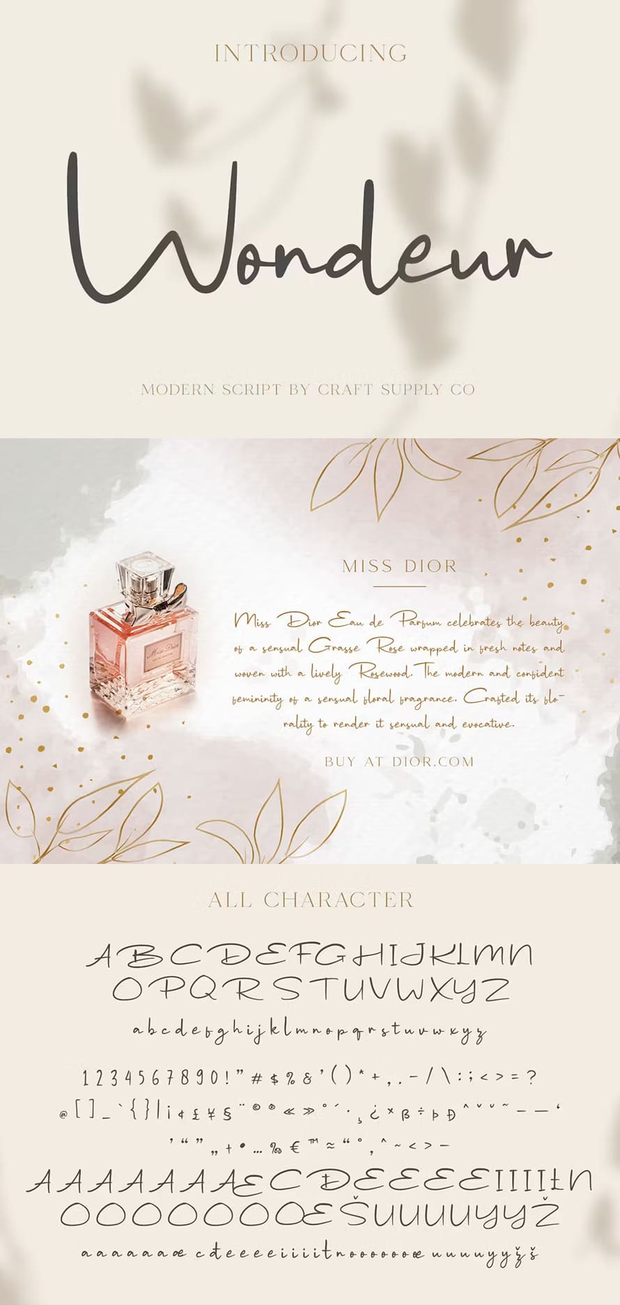 Wondeur Modern Script Font